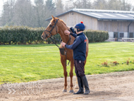 BP200326-8 - It's Hard To Know